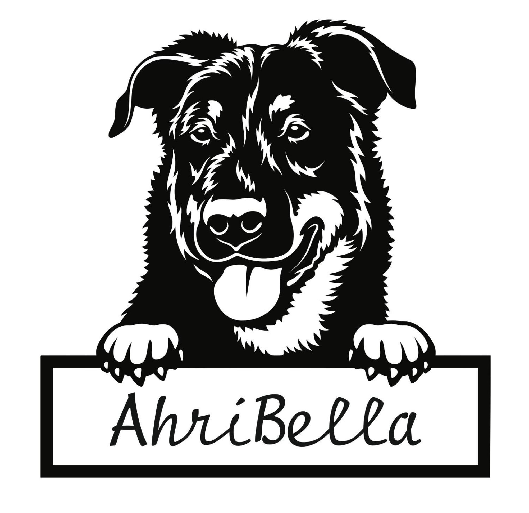 Urlaub Mit Hund -Ferienwohnung "Ahribella"- 格洛威 外观 照片