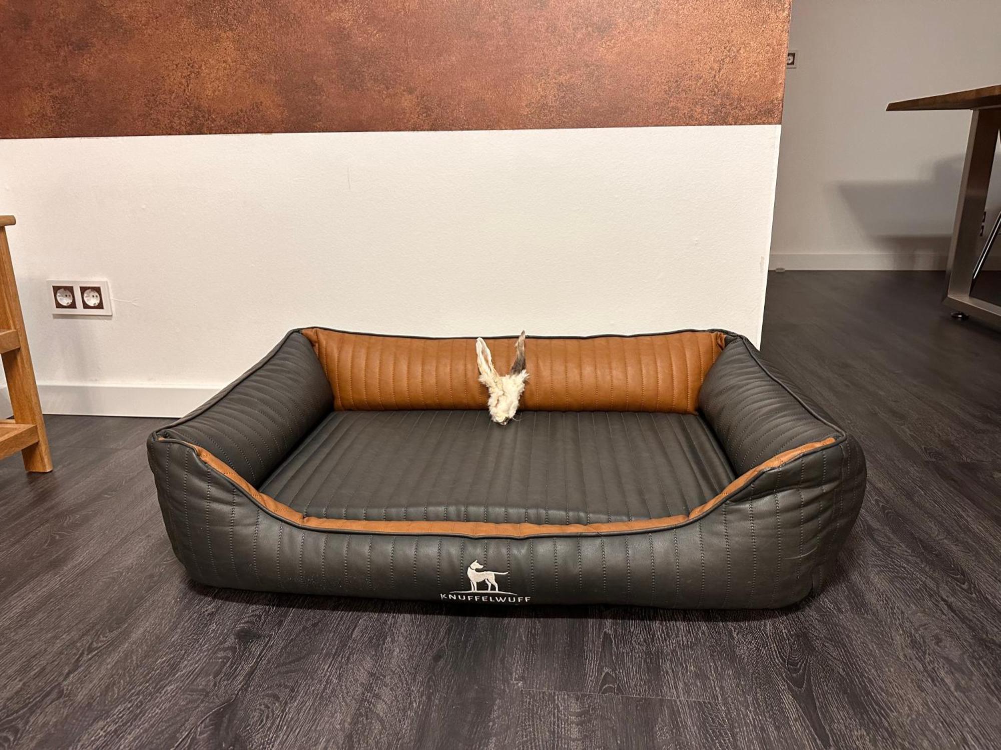 Urlaub Mit Hund -Ferienwohnung "Ahribella"- 格洛威 外观 照片